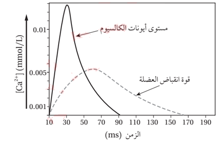 مستوى أيونات الكالسيوم في العضلة وقوة انقباض العضلة خلال مدة زمنية معينة