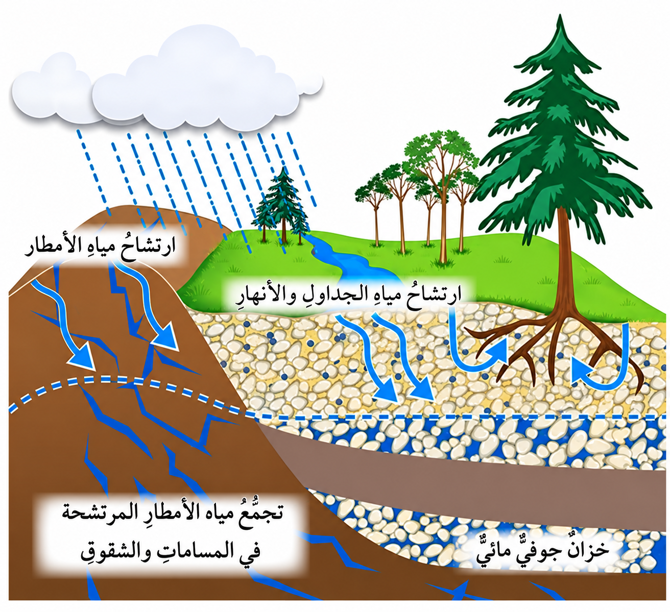 الارتشاح