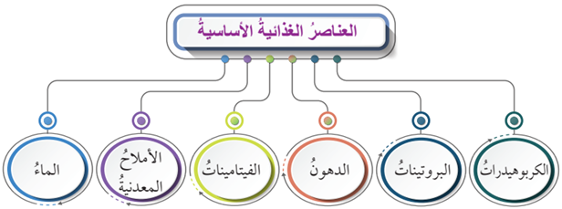 العناصر الغذائية الأساسية العناصر الغذائية الأساسية