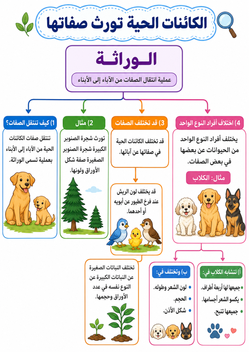 الكائنات الحية تورث صفاتها