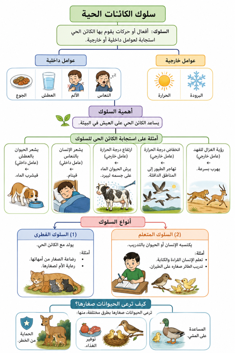 سلوك الكائنات الحية
