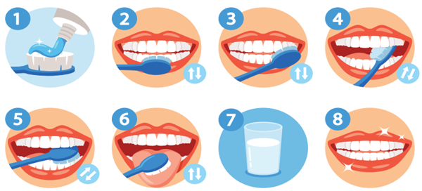 خطوات تنظيف الأسنان خطوات تنظيف الأسنان