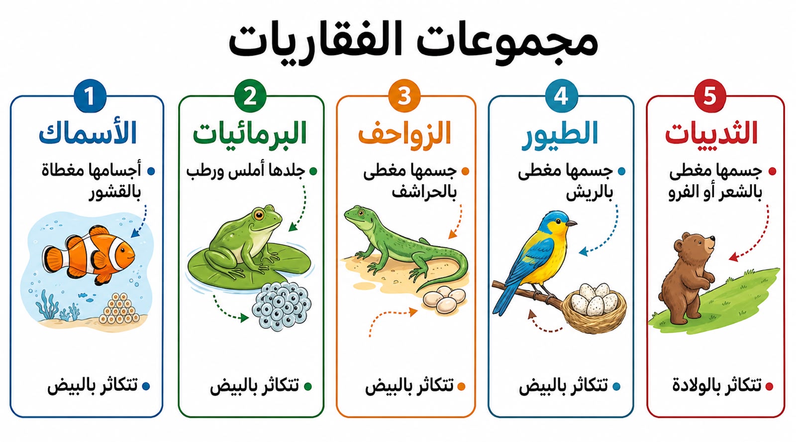 مجموعات الفقاريات