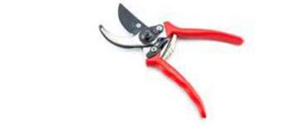 مقص التقليم العادي